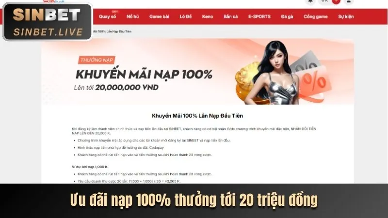 Ưu đãi và tiền thưởng độc quyền cho VIP